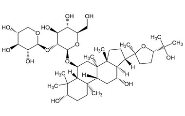 PA PHY 005357