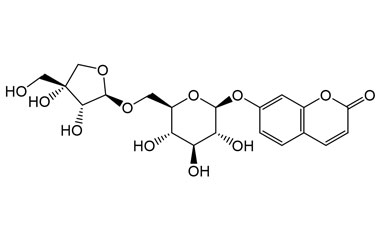 PA PHY 005358