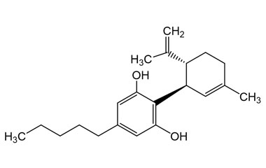 PA PHY 005362