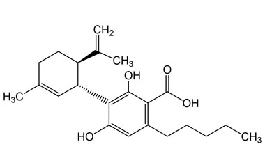 PA PHY 005363
