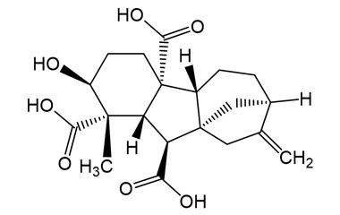 2922-24-9