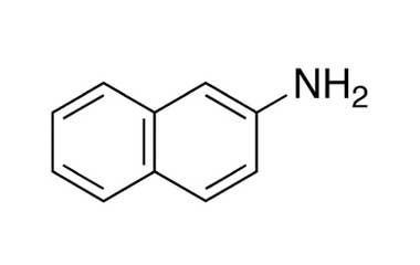 91-59-8