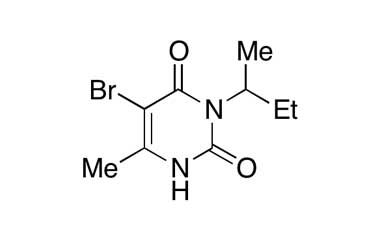 PA PST 001305