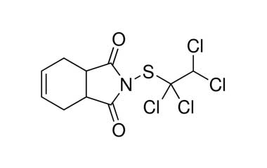 2425-06-1