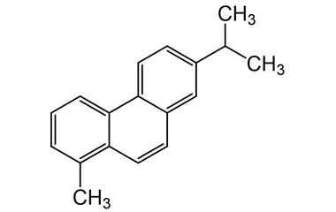 PA PST 013305