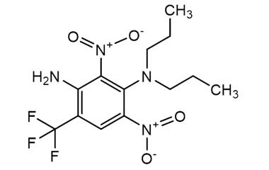 29091-21-2