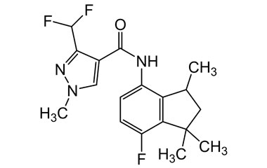 PA PST 019145