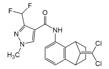 PA PST 019150