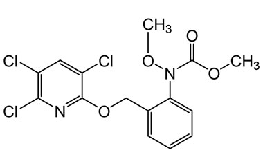 PA PST 019177