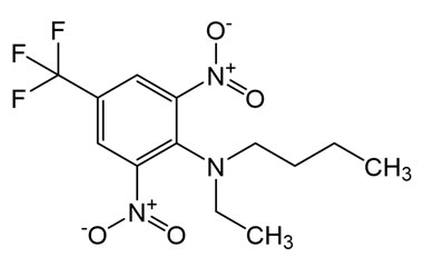 PA PST 019371