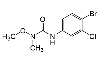 PA PST 019396