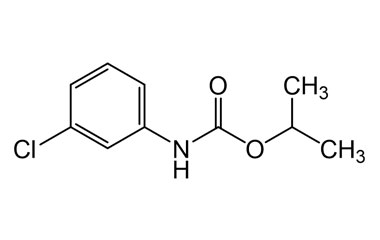 PA PST 019405