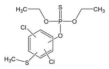 PA PST 019409