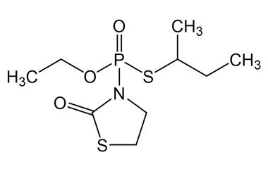 PA PST 019431