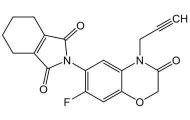 PA PST 019621