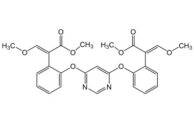 PA PST 019799