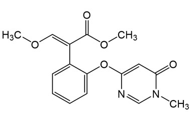 PA PST 019800