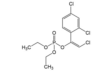 PA PST 019842