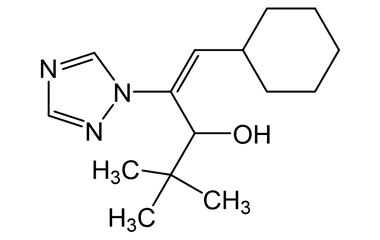 PA PST 019848