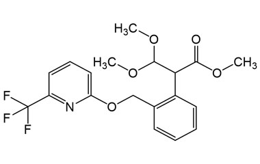 PA PST 019879