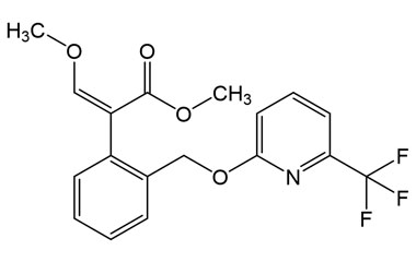 PA PST 019880