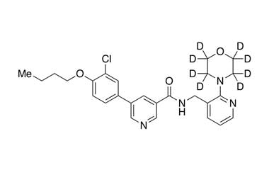 PA STI 001000