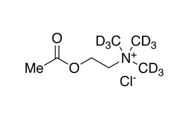 PA STI 002460