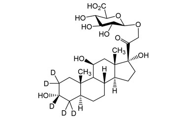 PA STI 004740