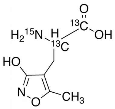 PA STI 006310