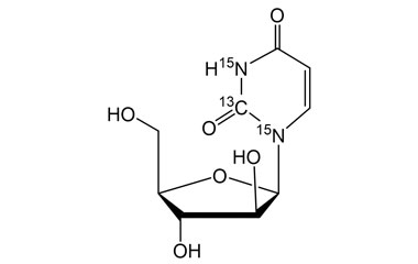 PA STI 008330