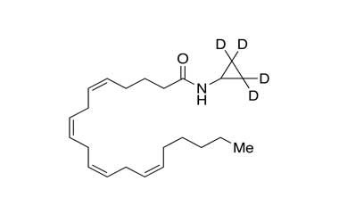 PA STI 008530