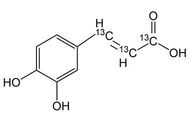 PA STI 016910