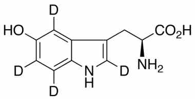 PA STI 052010