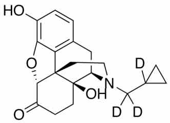 PA STI 055390