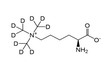 PA STI 085381