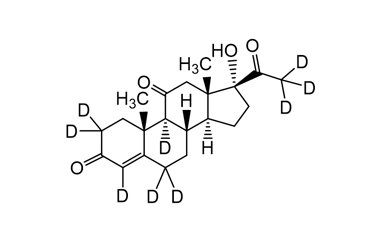 PA STI 088519