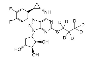 PA STI 088958