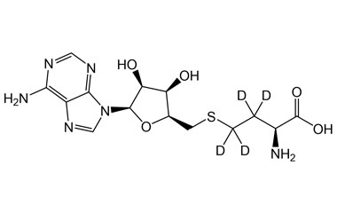 PA STI 089258