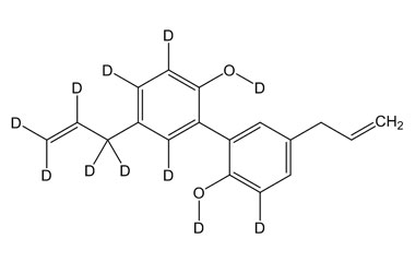 PA STI 089412