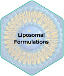 Analytical Method Creation & Validation