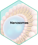 Analytical Method Creation & Validation