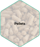 Analytical Method Creation & Validation