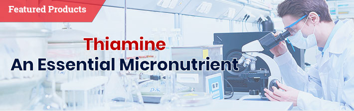 Thiamine - An essential micronutrient